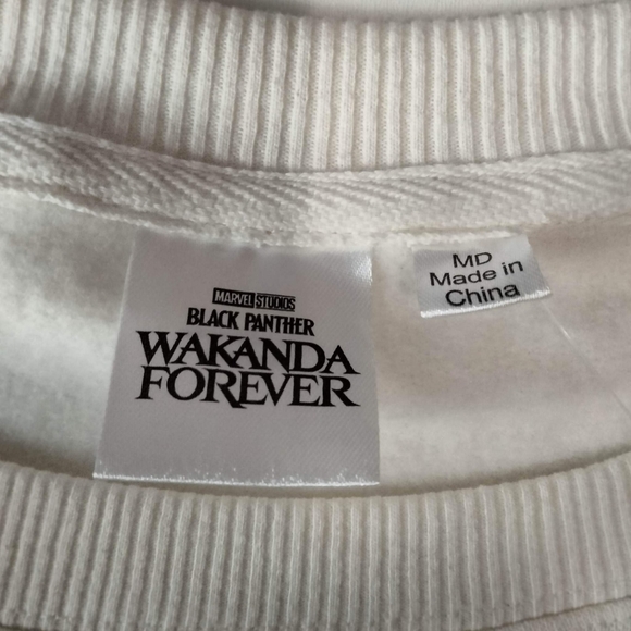 NWT Women’s Marvel Wakanda Forever Graphic Sweatshirt Cream M. - Picture 6 of 10